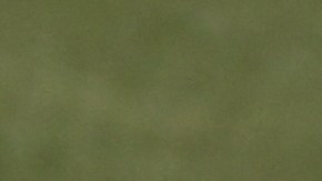 El futuro de Héctor Herrera está en la MLS.