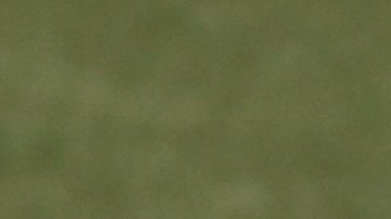 El futuro de Héctor Herrera está en la MLS.
