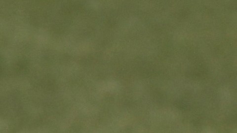 El futuro de Héctor Herrera está en la MLS.