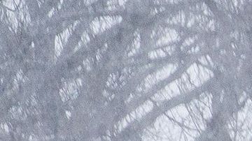 Tormenta invernal