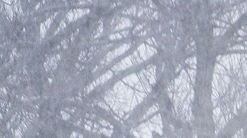 Tormenta invernal