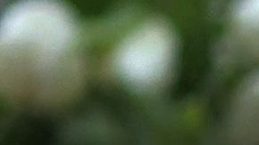 Flowers and candles are placed at a makeshift memorial at the scene of a crime on the campus of Heidelberg University, southwestern Germany, on January 25, 2022, one day after an attack by a gunman inside a lecture hall. - An 18-year-old student opened fire in a lecture hall at Heidelberg University in southwestern Germany on January 24, 2022, killing a young woman and injuring three others before fleeing the scene and turning the weapon on himself. (Photo by Daniel ROLAND / AFP) (Photo by DANIEL ROLAND/AFP via Getty Images)