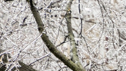 Tormenta invernal