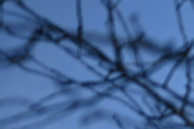 Corte Suprema Alabama