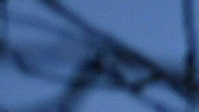 Corte Suprema Alabama