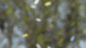 El MVP del Super Bowl LVI, Cooper Kupp (c), celebra en Disneyland junto a sus compañeros de los Rams, Aaron Donald y Matthew Stafford