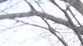An Amazon Prime truck pulls away after a delivery in Washington, DC, on February 17, 2022. - US retail sales boomed in January as shops more than regained ground lost in an unexpected December slump, despite high inflation, according to government data released February 16. Retail sales rose 3.8 percent last month, the Commerce Department said, double what was expected and a dramatic reversal of the 2.5 percent decline in December, which was worse than originally reported. (Photo by Nicholas Kamm / AFP) (Photo by NICHOLAS KAMM/AFP via Getty Images)