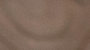 Protesta antivacunas en Ottawa