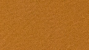 Testigo ofrece relato del tiroteo masivo en Portland, que dejó un muerto y cuatro heridos