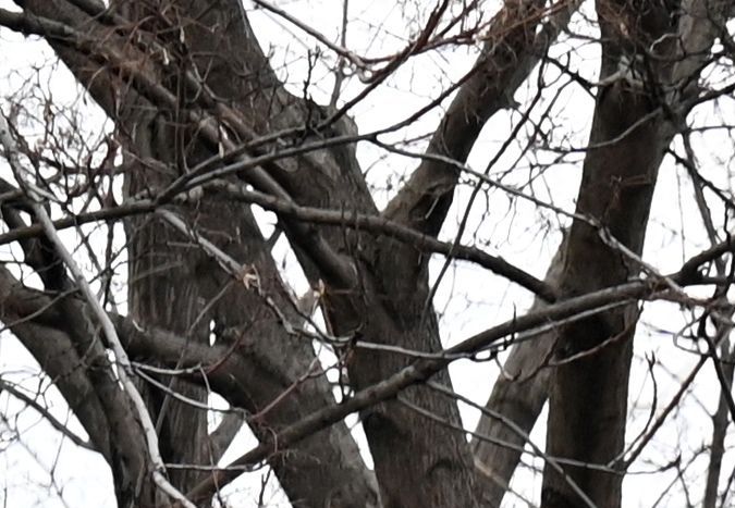 Kiev rodeada por tropas rusas