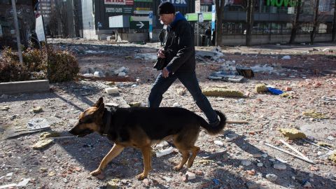 Mascotas se convierten en el otro rostro que la invasión a Ucrania