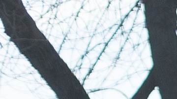 Conflicto Rusia Ucrania Kiev Toque de queda