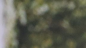 Manuel Neuer y Robert Lewandowski, del Bayern Múnich.