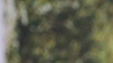 Manuel Neuer y Robert Lewandowski, del Bayern Múnich.