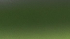 Elecciones en Florida