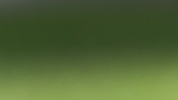 Elecciones en Florida