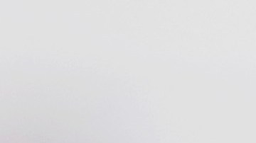 El exdelantero de Boca Juniors Carlos Tévez desmintió lo que se rumoró en redes sociales.