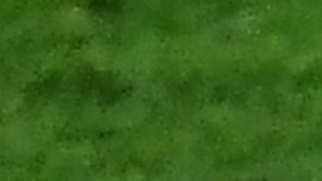 Las federaciones anunciaron que no jugarán en suelo ruso.