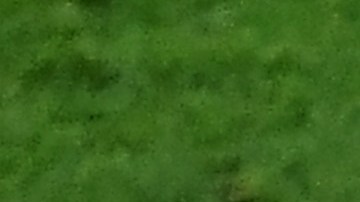 Las federaciones anunciaron que no jugarán en suelo ruso.