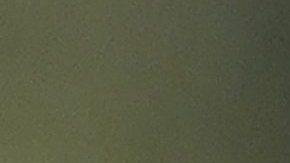 Mike McDaniel fue parte fundamental en el esquema de los San Francisco 49ers. Llega a Miami en medio de la denuncia del coach saliente Brian Flores