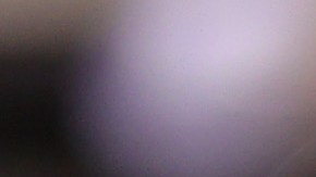 Hailey Bieber | Getty Images