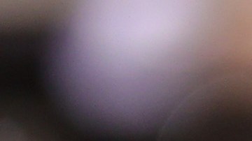 Hailey Bieber | Getty Images