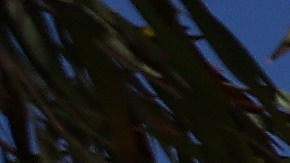 INGLEWOOD, CALIFORNIA - SEPTEMBER 12: A general view of SoFi Stadium before a game between the Chicago Bears and the Los Angeles Rams on September 12, 2021 in Inglewood, California. (Photo by Ronald Martinez/Getty Images)