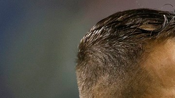 El Galaxy respaldó a 'Chicharito' en sus redes.