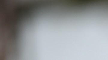 Tite dirigirá a Brasil por segundo Mundial consecutivo.