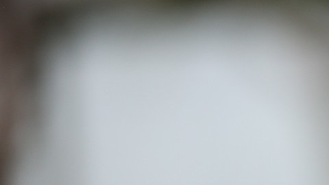 Tite dirigirá a Brasil por segundo Mundial consecutivo.