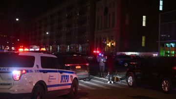 Manhattan Bronx Nueva Yorka asesinato
