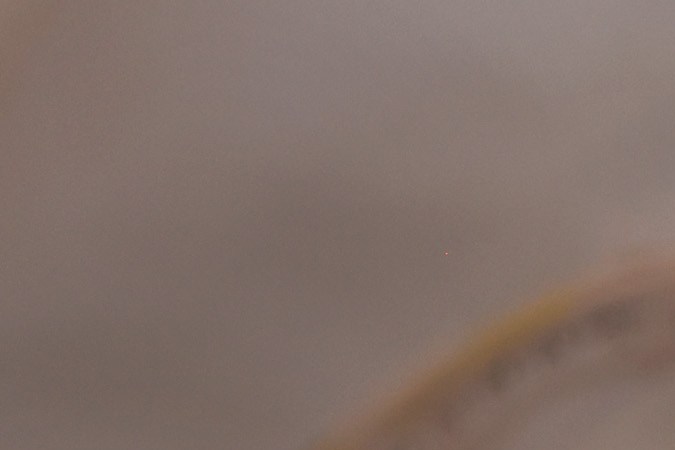 Hospitalizaciones de niños con Covid-19