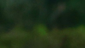 Hirving Lozano