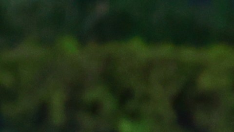 Hirving Lozano