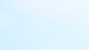 Los Cincinnati Bengals aterrizaron Los Ángeles este martes.