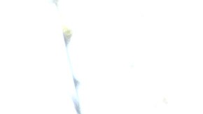 OAKLAND, CALIFORNIA - FEBRUARY 09: California Gov. Gavin Newsom (C) prepares to sign legislation during a bill signing ceremony at Nido's Backyard Mexican Restaurant on February 09, 2022 in San Francisco, California. California Gov. Gavin Newsom signed legislation to extend COVID-19 supplemental paid sick leave for workers. (Photo by Justin Sullivan/Getty Images)