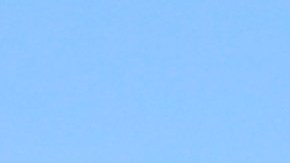 Miles de aficionados de los Rams celebraron con su equipo frente al Memorial Coliseum.