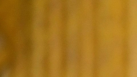 El presidente Biden anunciará este mediodía más acciones contra Rusia.