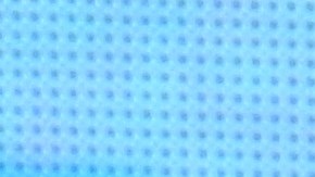 El piloto alemán afirmó que no irá a correr en Rusia.