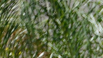 RIALTO, CA - JUNE 17: Rialto police officers and volunteers keep watch in front of Rodney King's home after he was found dead on June 17, 2012 in Rialto, California. King, whose video beating by Los Angeles police in 1991 sparked riots after the acquittal of the four officers involved, was found dead at the age of 47 from an apparent drowning in his swimming pool. (Photo by Kevork Djansezian/Getty Images)