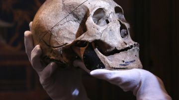 Arqueólogos descubren 40 esqueletos romanos decapitados con los cráneos entre las piernas