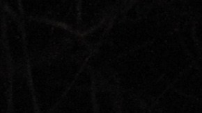 A highway patrol officer checks with colleagues at a roadblockon on Highway 38 near Angeles Oaks during a standoff with fugitive ex-cop Christopher Dorner, near San Bernardino, California on February 12, 2013. Nobody has yet been found in a burnt-out US mountain cabin where Dorner was believed to have barricaded himself after a six-day manhunt, a police spokesman said. Media reports that a body had been found in the cabin near Big Bear, east of Los Angeles, and identified as Dorner's were false, said Los Angeles Police Department (LAPD) spokesman Andrew Smith. AFP PHOTO /JOE KLAMAR (Photo credit should read JOE KLAMAR/AFP via Getty Images)