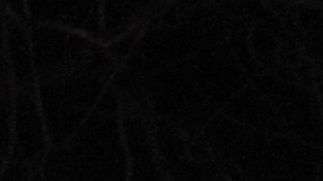 A highway patrol officer checks with colleagues at a roadblockon on Highway 38 near Angeles Oaks during a standoff with fugitive ex-cop Christopher Dorner, near San Bernardino, California on February 12, 2013. Nobody has yet been found in a burnt-out US mountain cabin where Dorner was believed to have barricaded himself after a six-day manhunt, a police spokesman said. Media reports that a body had been found in the cabin near Big Bear, east of Los Angeles, and identified as Dorner's were false, said Los Angeles Police Department (LAPD) spokesman Andrew Smith. AFP PHOTO /JOE KLAMAR (Photo credit should read JOE KLAMAR/AFP via Getty Images)