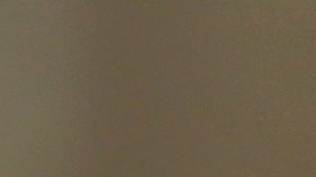 Texas pandilleros empleada Consulado