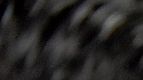 Julio César Chávez Jr.