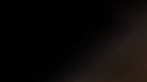 odontológo odontología