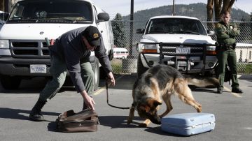 Estados Unidos prueba "perros robot" para patrullar su frontera sur