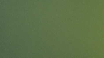 VIDEO: Turista vive instantes de terror al encontrara lagarto en el baño de un hotel en Tailandia