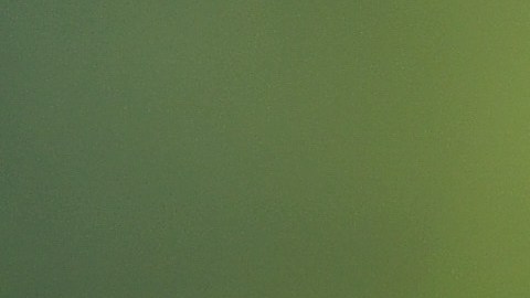 VIDEO: Turista vive instantes de terror al encontrara lagarto en el baño de un hotel en Tailandia