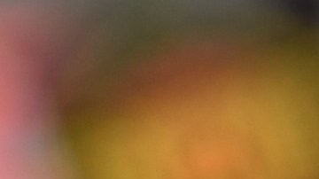 La modelo gana más de 15.000 dólares semanales.